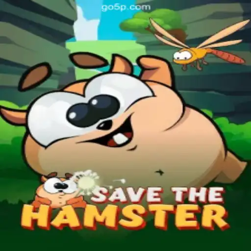 Exploring SavetheHamster: The Engaging Game Taking Brasil's 5P.COM Platform by Storm